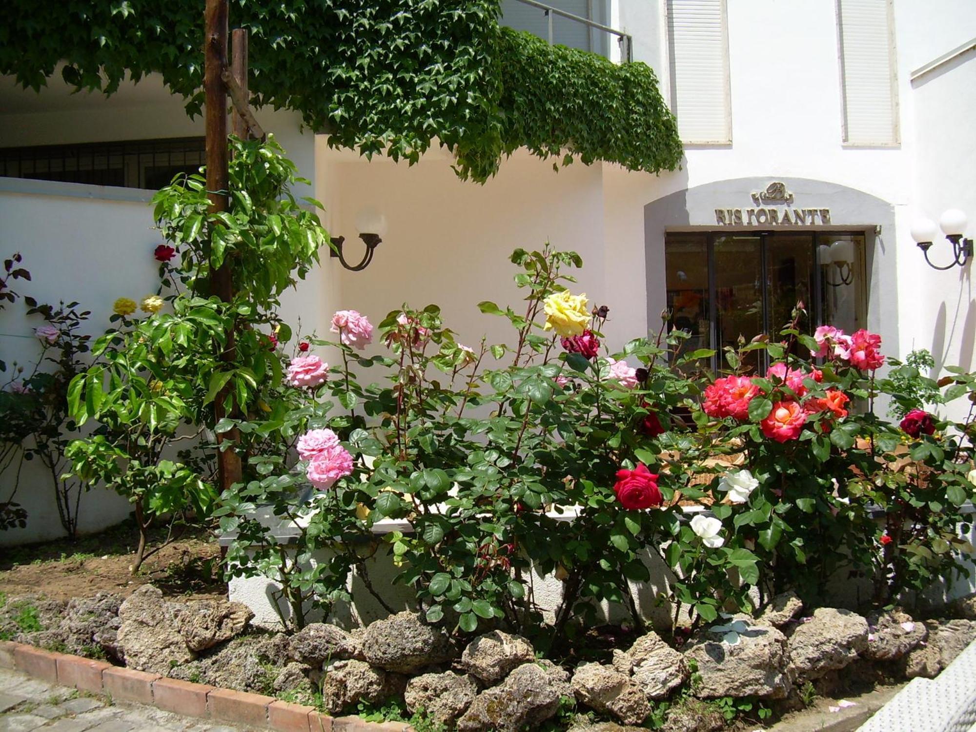 Hotel Baia Palinuro Exteriér fotografie
